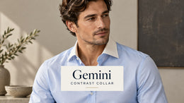 Gemini Prompts: Contrast Collar Hemden